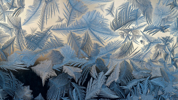 Winter_Frost_draws_patterns_on_glass_095627_.jpg