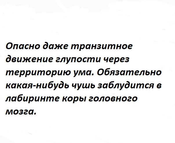 00000000000000000000001мозг.jpg