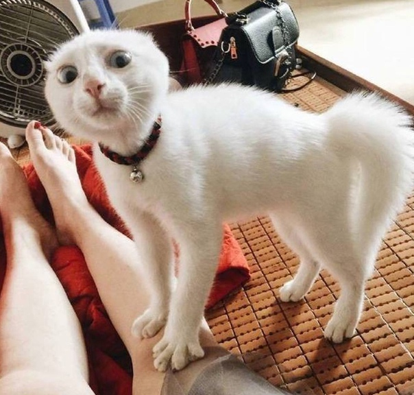 0000000000000001.jpg