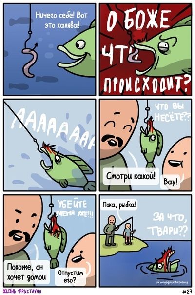 00000000000000012121.jpg