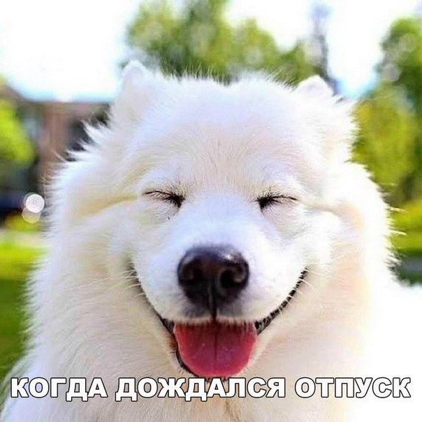 000000001.jpg