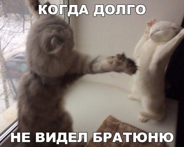 000000005.jpg
