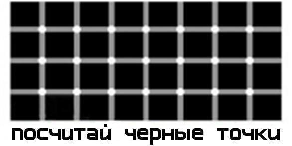 00000001.jpg