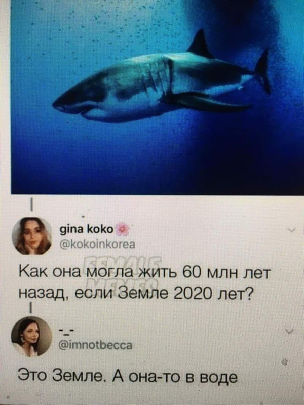 00000001вводе.jpg