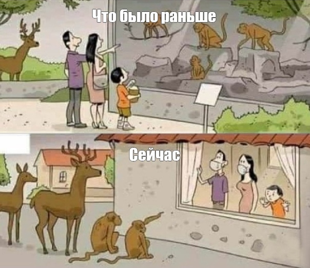 00000013.jpg