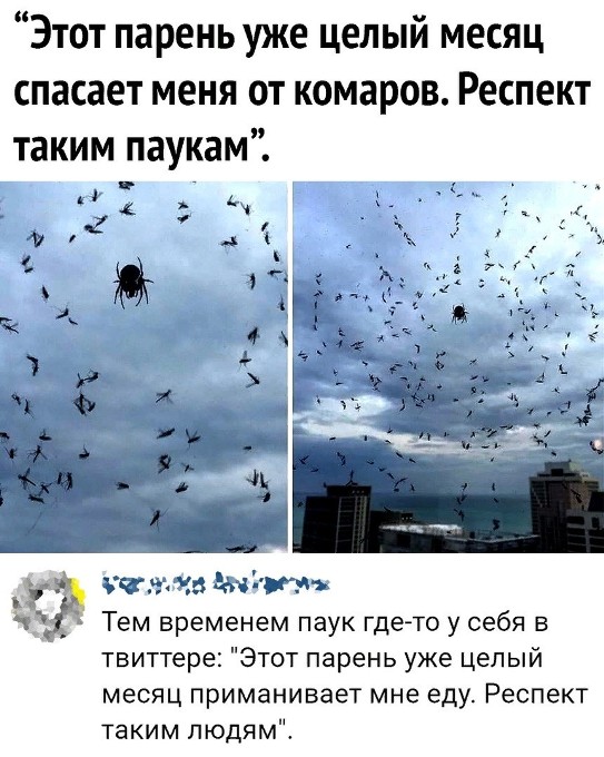 0000042.jpg
