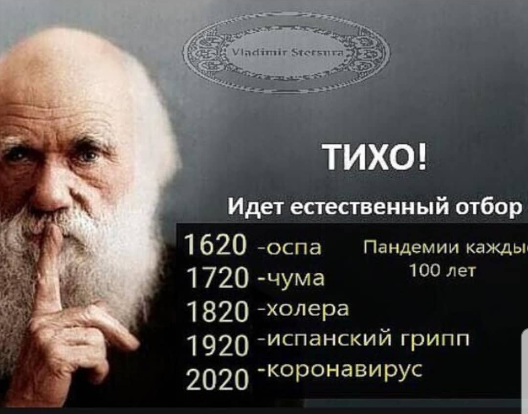 0001.jpg
