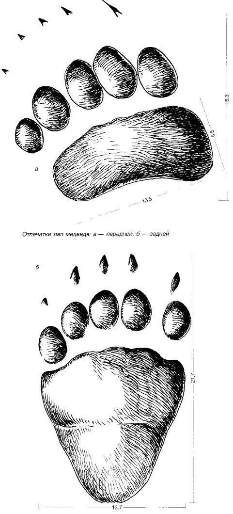 0060_sprav_fig3.jpg