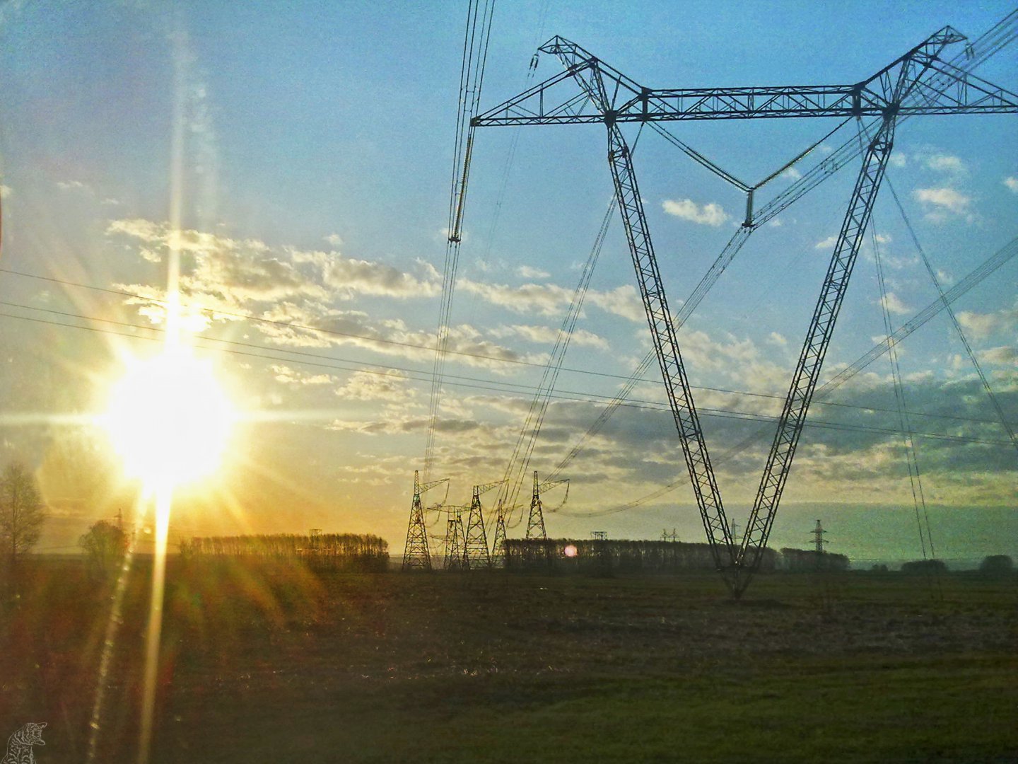 010520162986.jpg