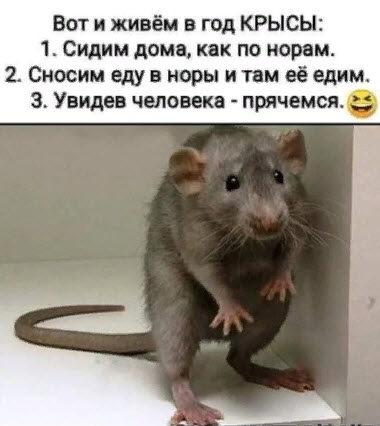 02.04.jpg