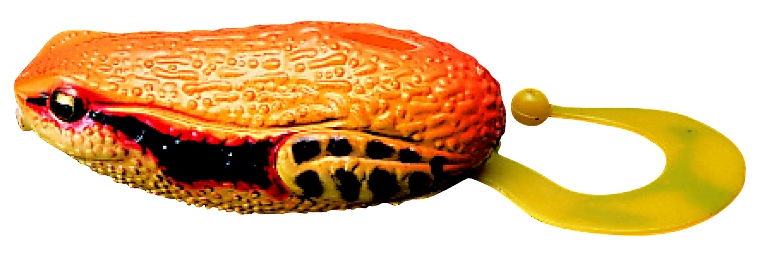 02.jpg