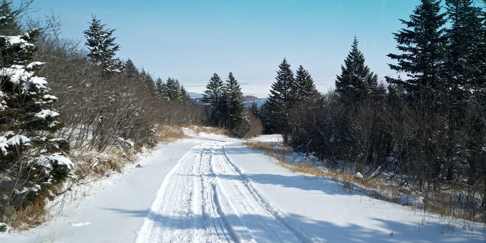 02CB516A-FE50-488A-A9DA-669B27FEB022.jpeg