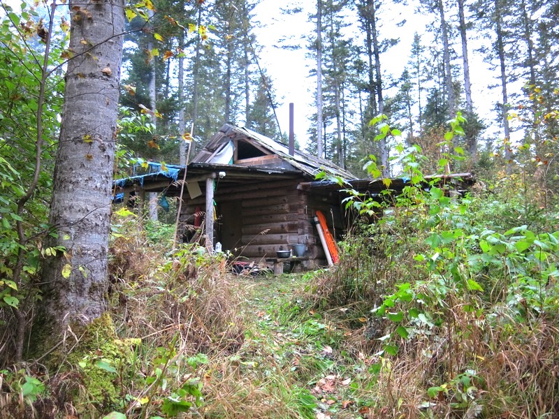 03.JPG