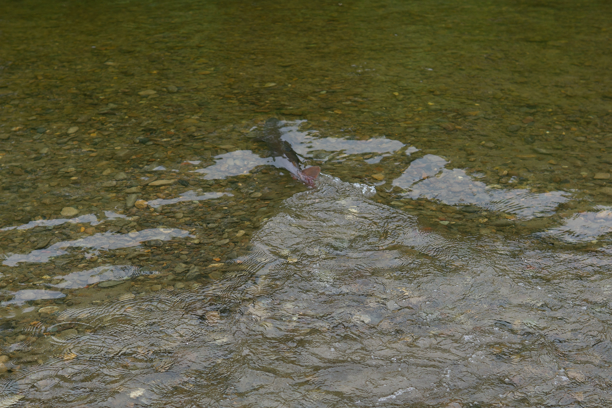 05.jpg