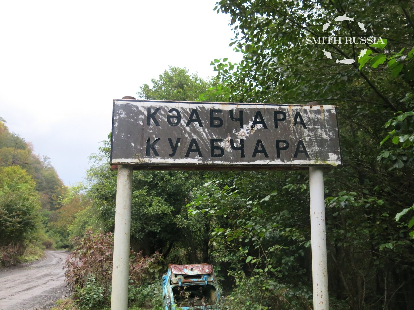 05.JPG