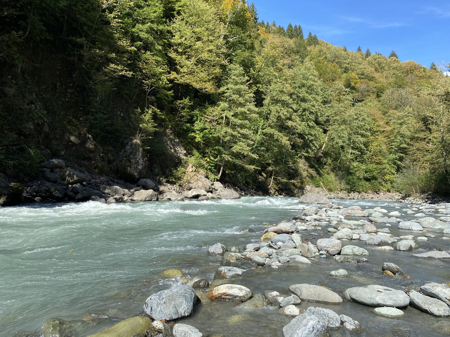 05.JPG