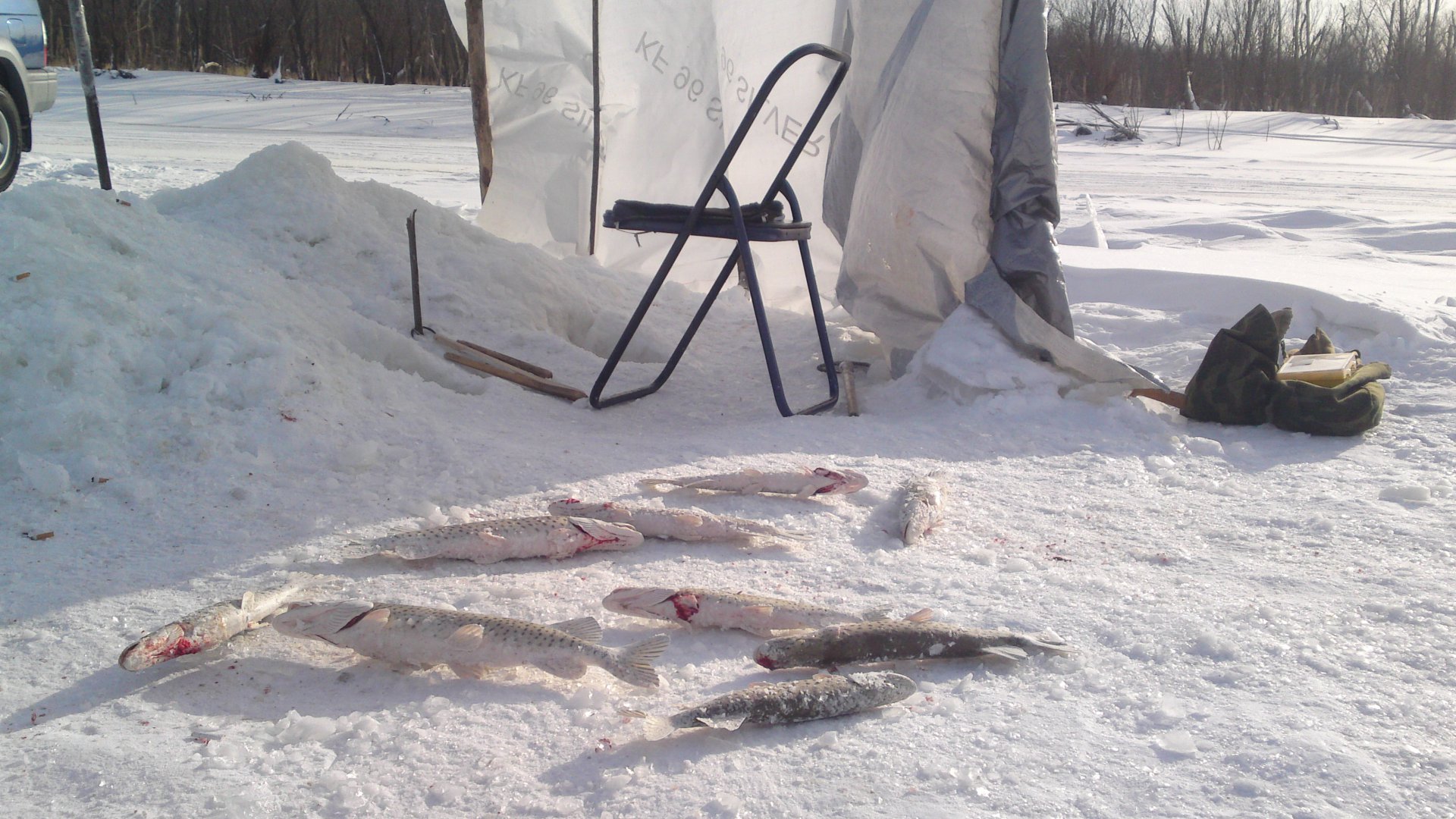 05012014157.JPG