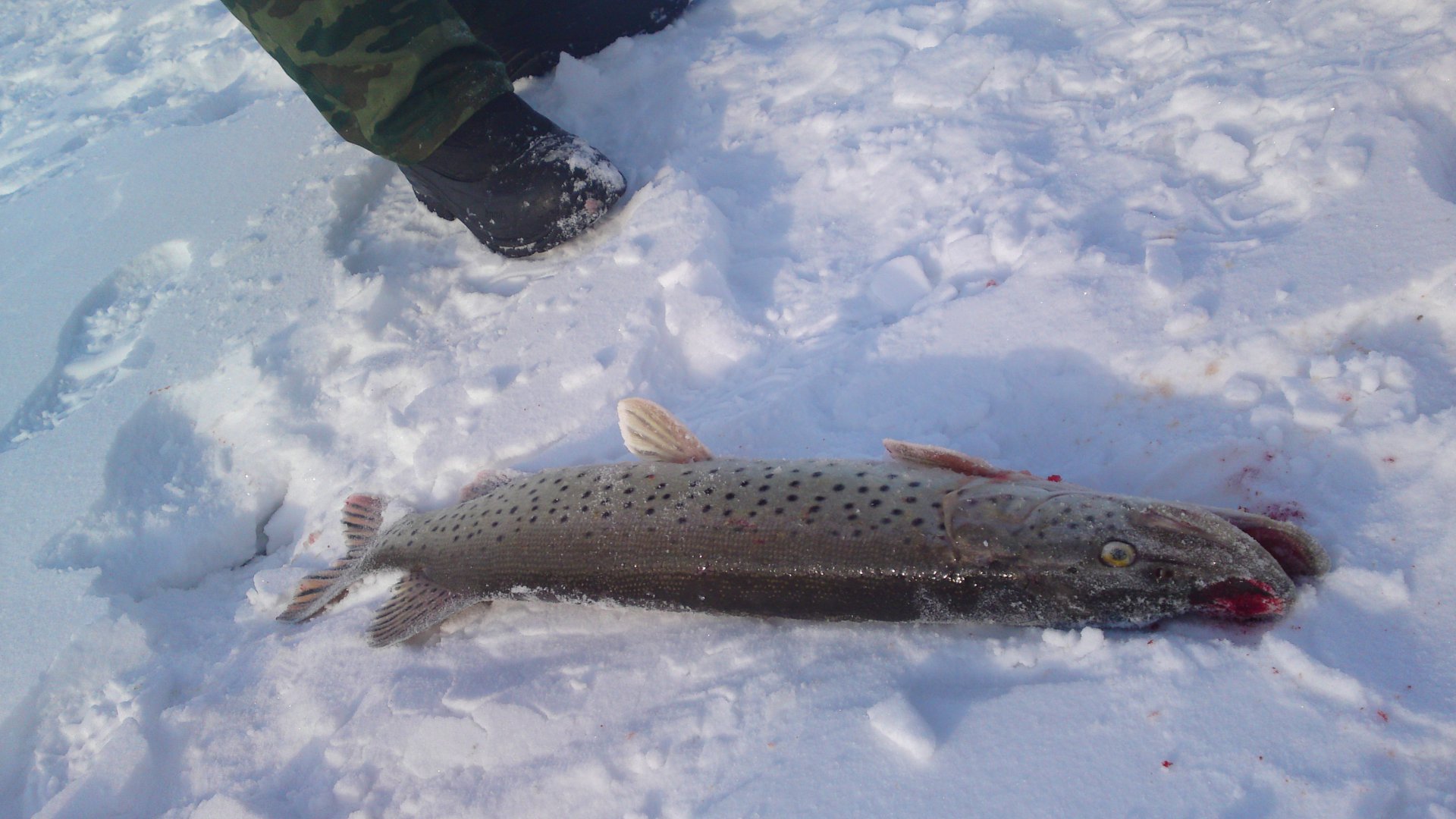 05022014229.JPG