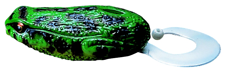 06.jpg