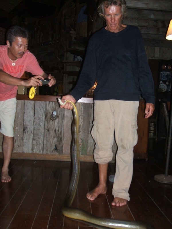 06.JPG