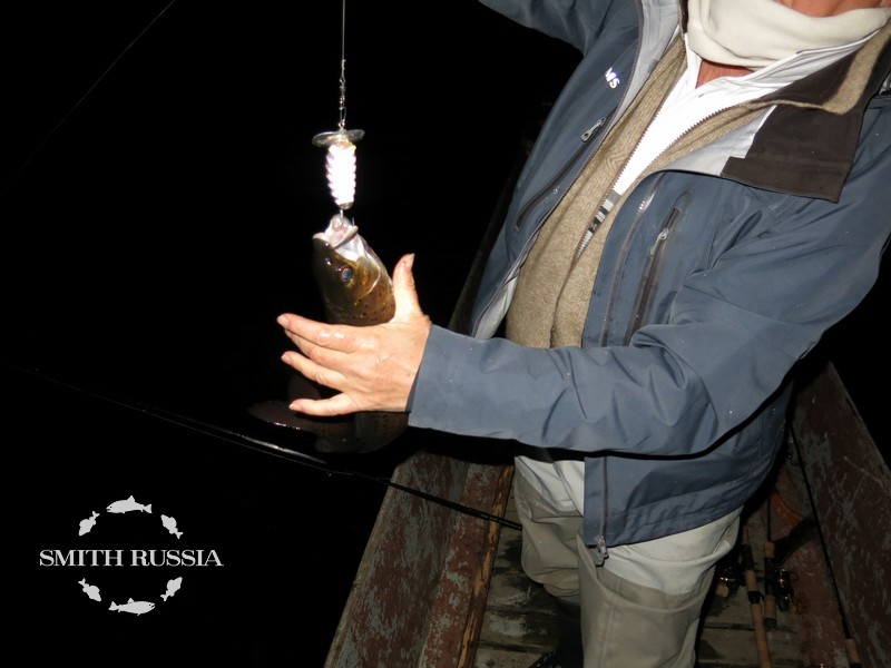 06.JPG