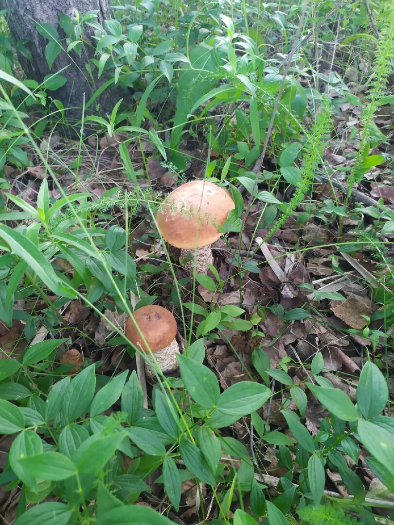 06.jpg