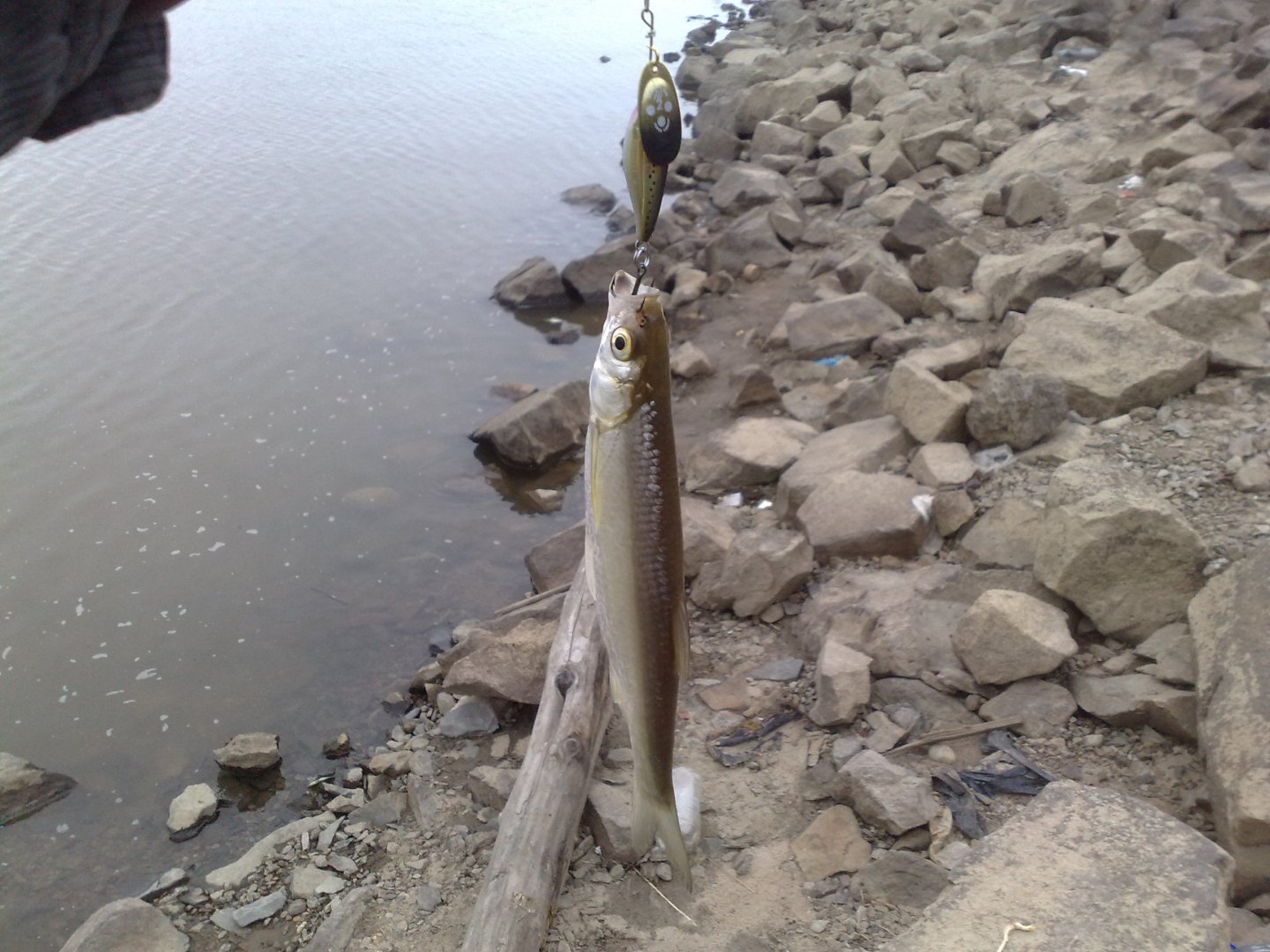 070520163392.jpg