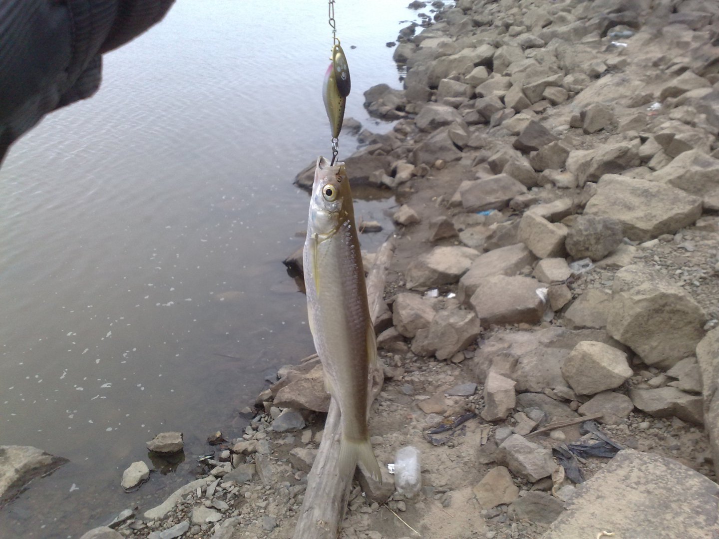 070520163393.jpg