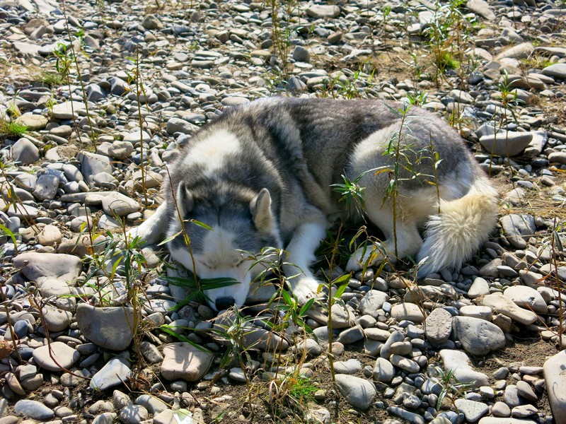08.JPG