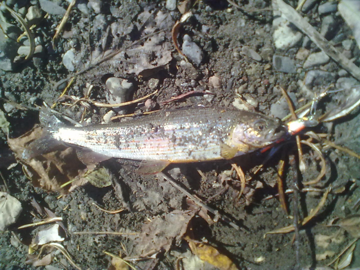 08102016342.jpg