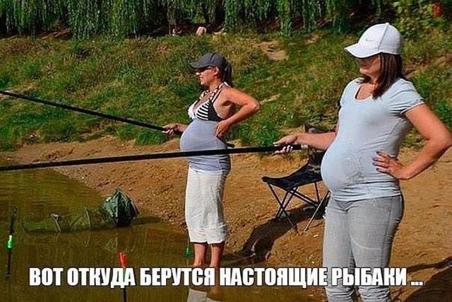 095460.jpg