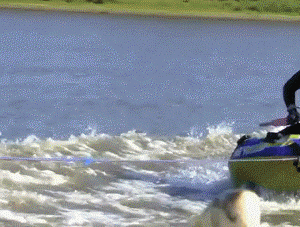 0_6d93f_86cf13de_orig.gif