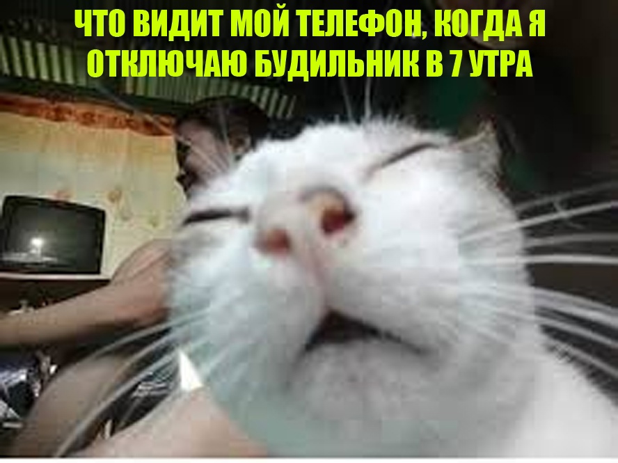 0bxcfEkRoKw.jpg