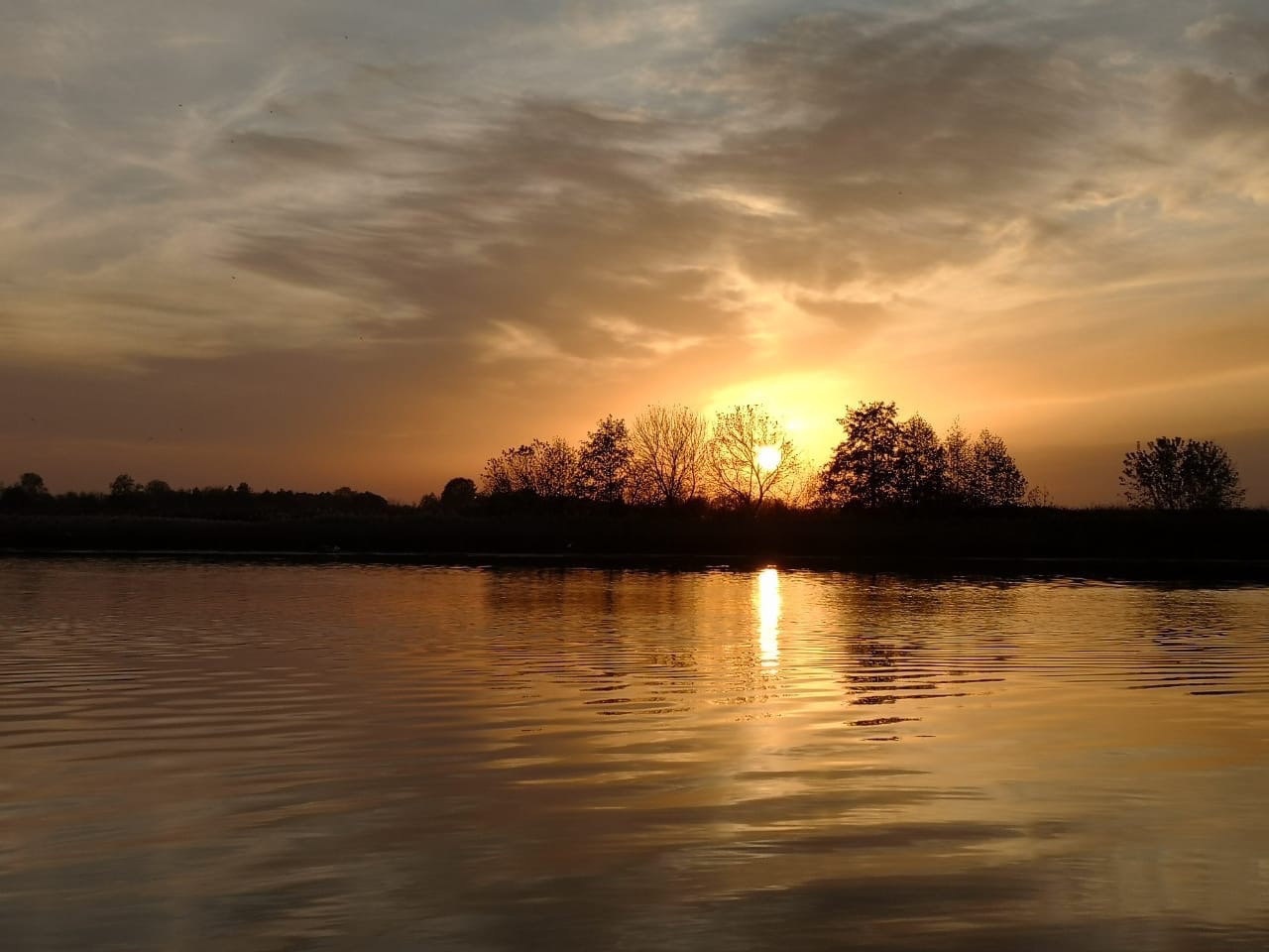 0E18219C-39EA-474E-948B-CB8C110EE290.jpeg