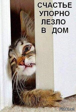 1-1 (14).jpg