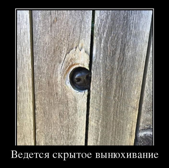 1-1 (3).jpg