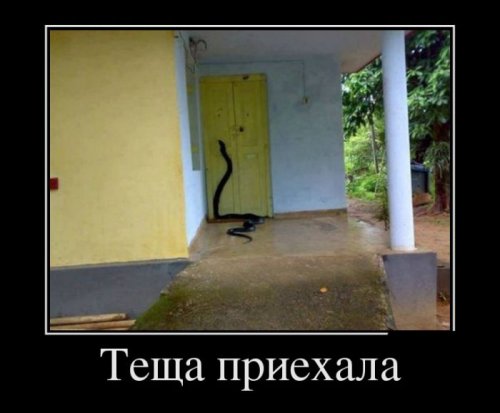 1-114.jpg