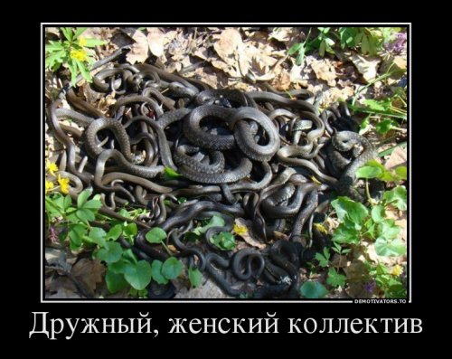 1-123.jpg