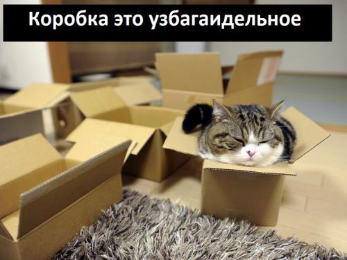 1-2 (11).jpg
