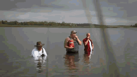 1.gif