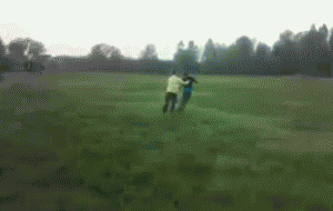 1.gif