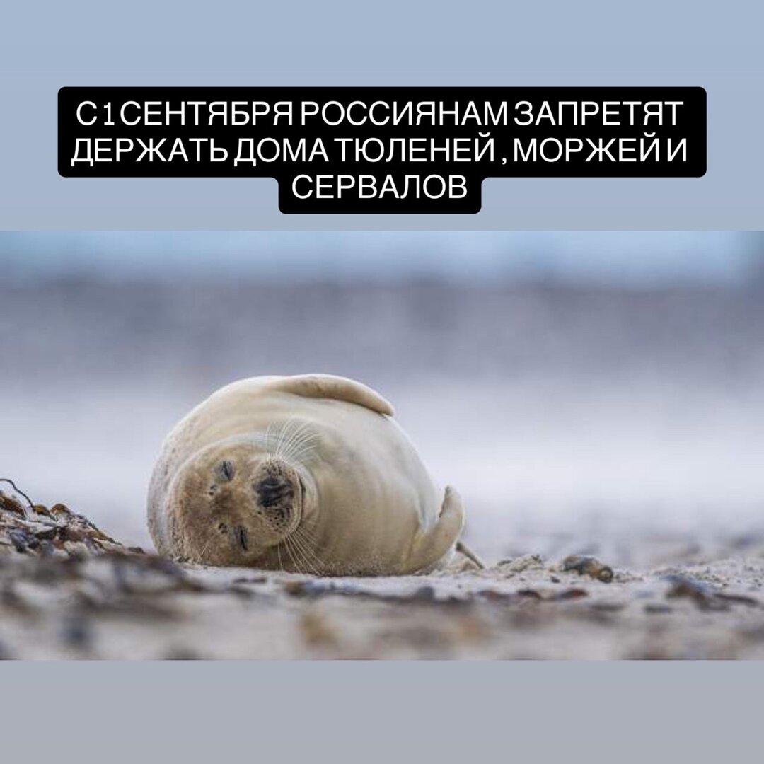1 сен.jpg