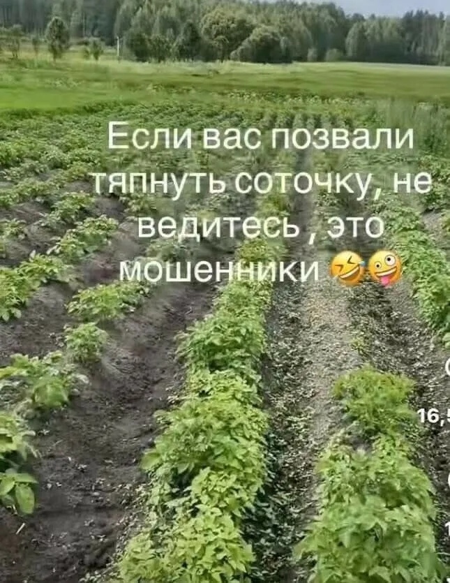 100.jpg