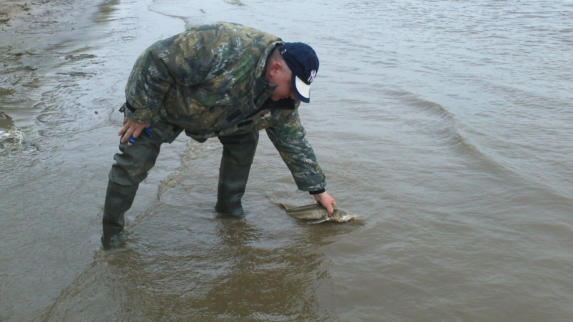 100_0315.JPG