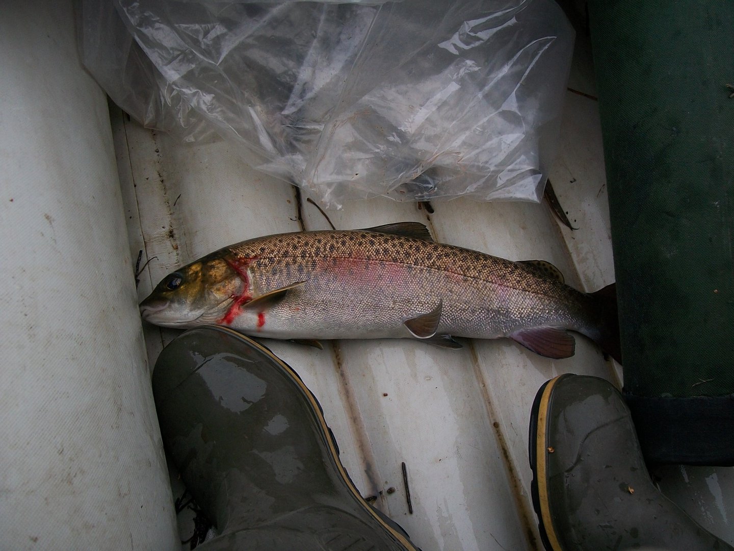 100_0673.JPG