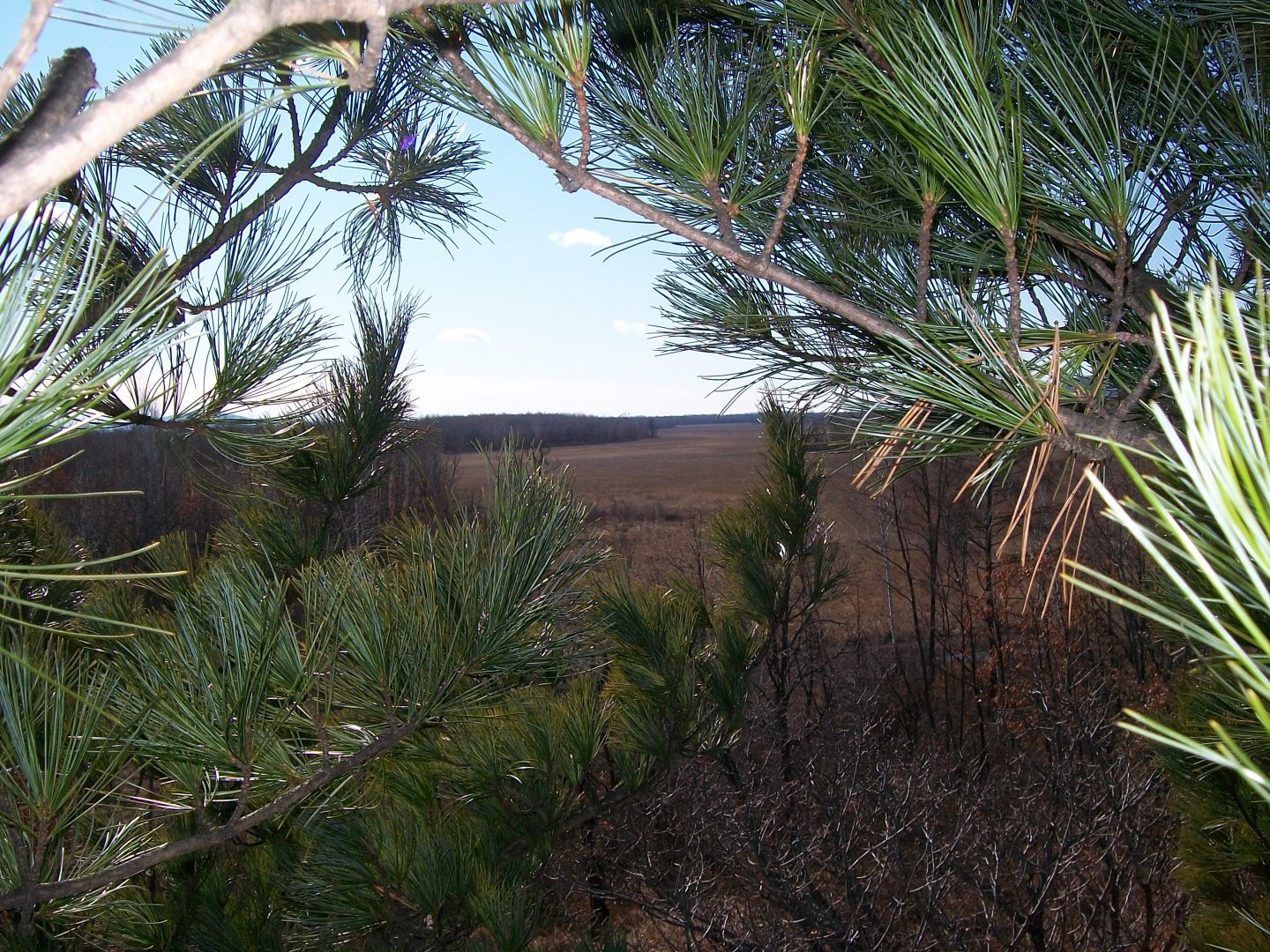100_0690.JPG