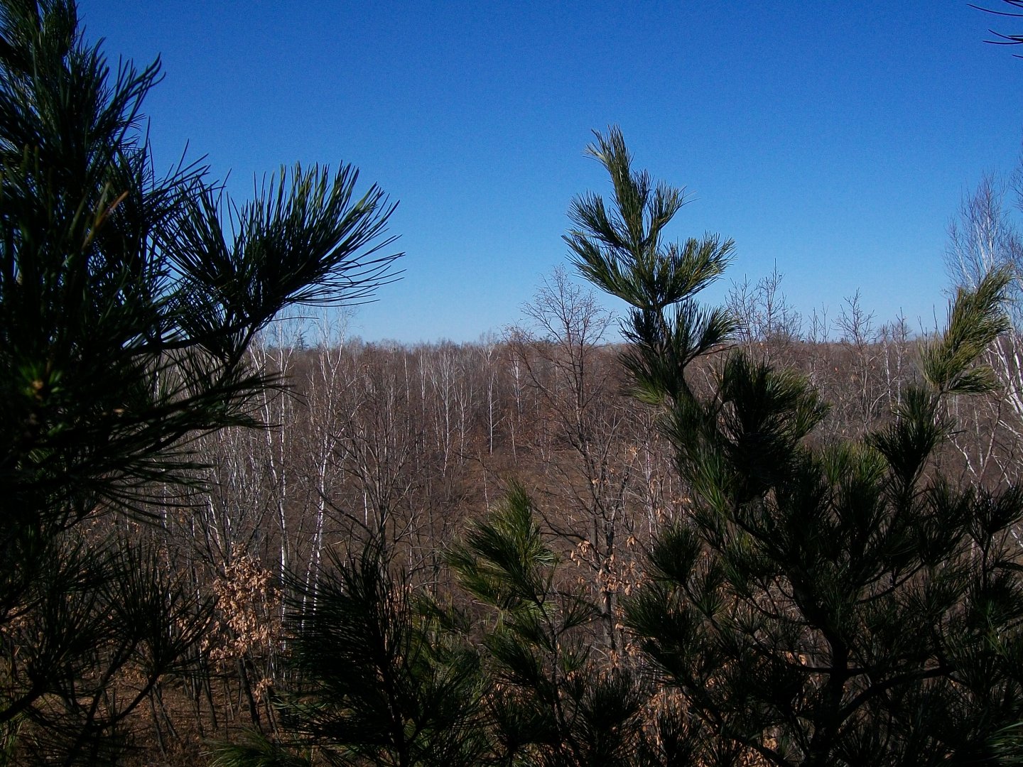 100_0691.JPG
