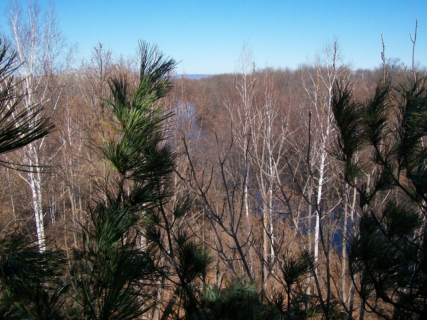 100_0693.JPG