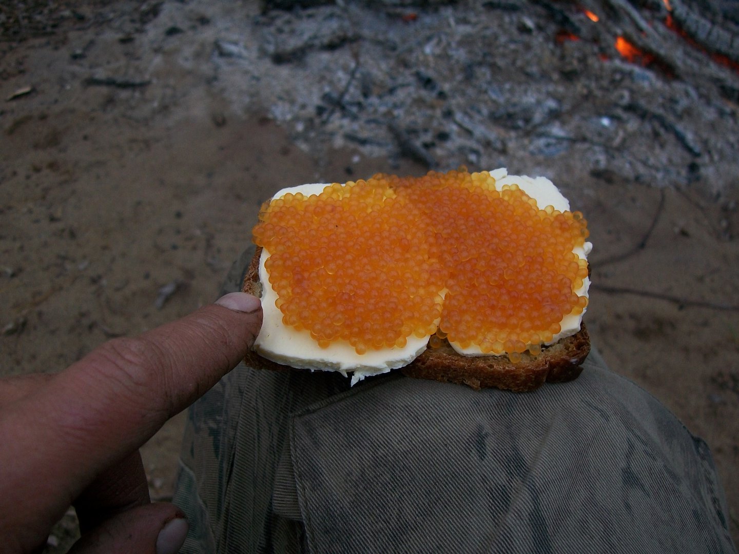 100_0706.JPG