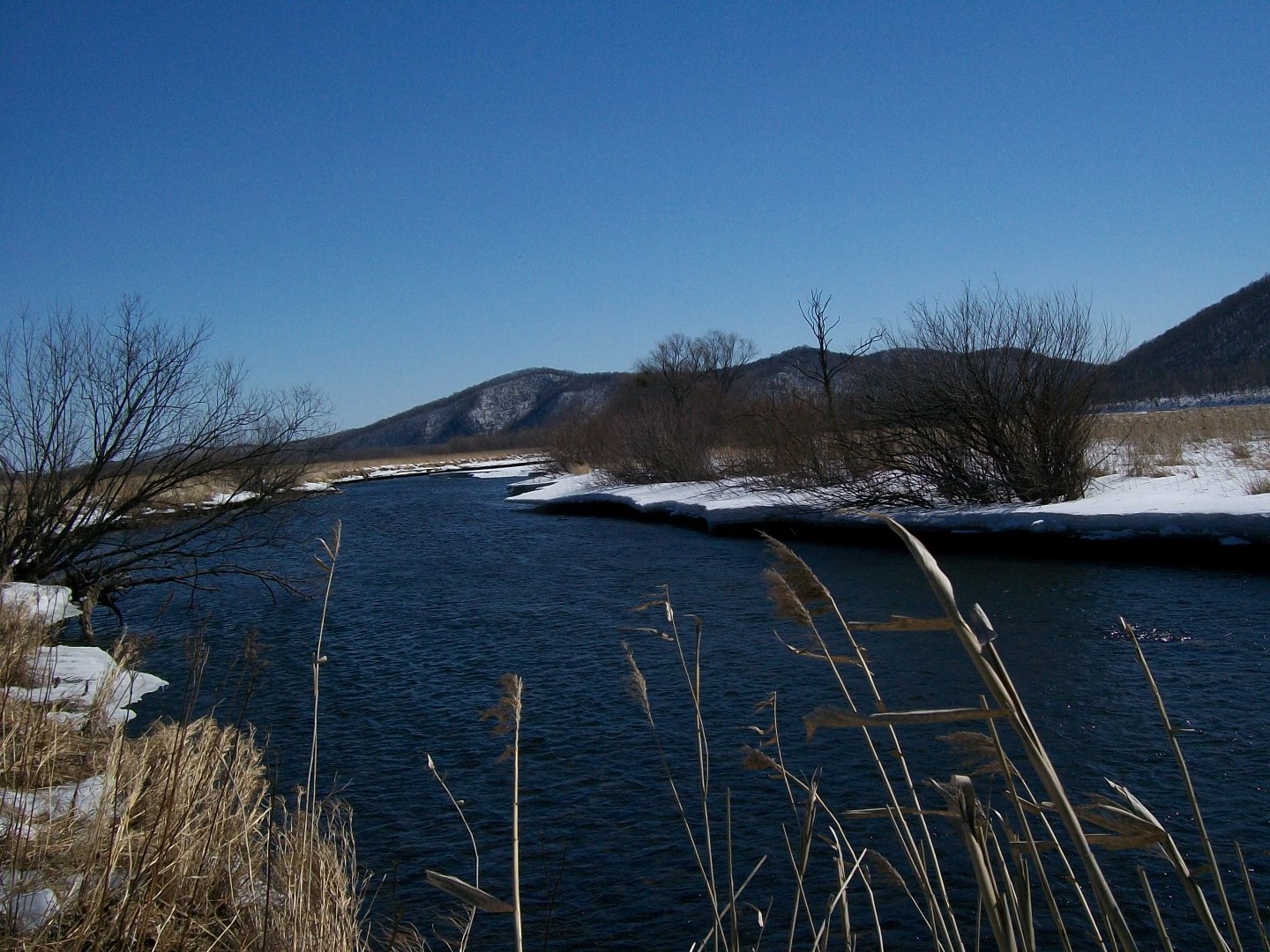 100_1045.JPG